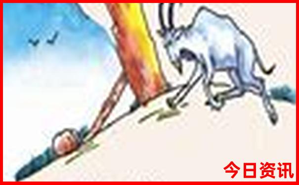 新政有什么好玩的景点